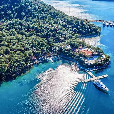 Bay