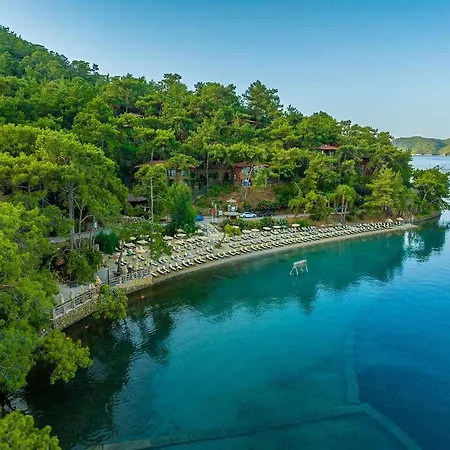 Bay Hotel *